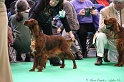 Crufts2011 245